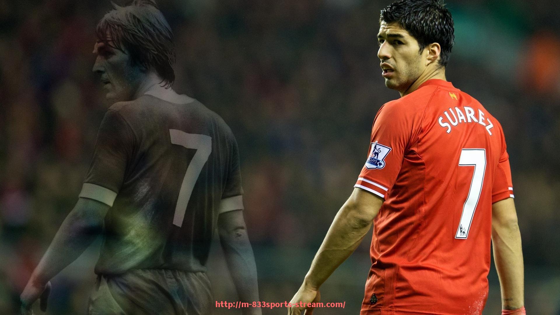 833体育直播-舒华健身器材公司介绍：为什么这个品牌是健身器材中的佼佼者？